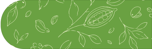 Botanical pattern
