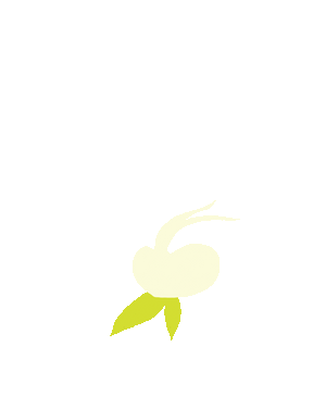 Icon / GIF