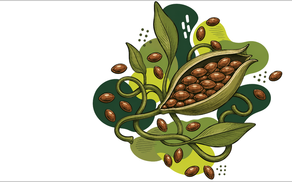 Seed pod